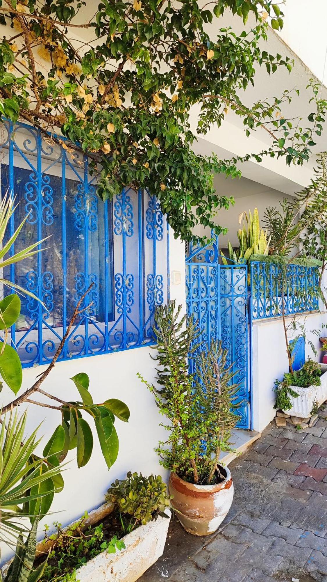 Cosy Appartement In "Sidi Bou Said" ภายนอก รูปภาพ