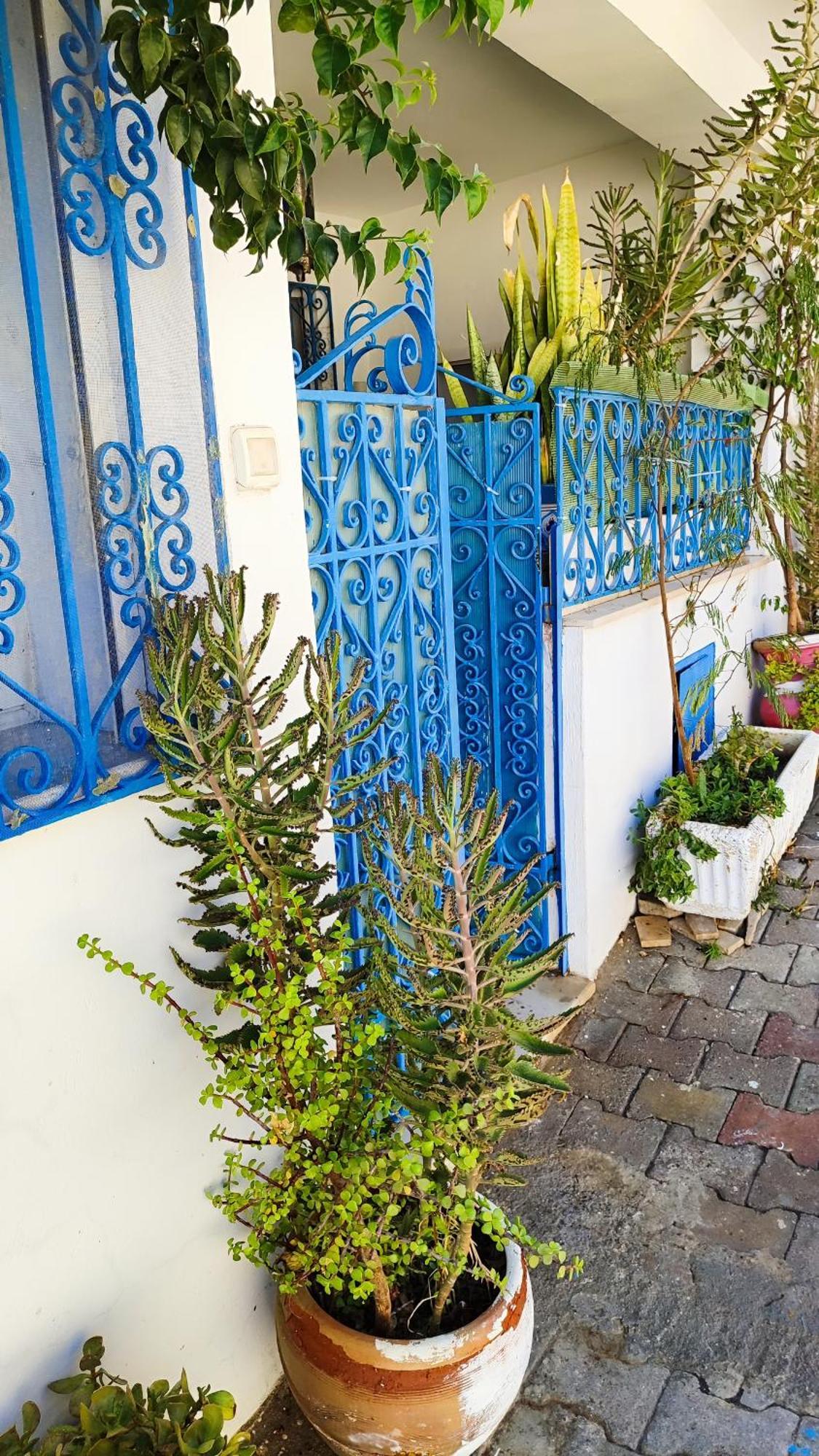 Cosy Appartement In "Sidi Bou Said" ภายนอก รูปภาพ